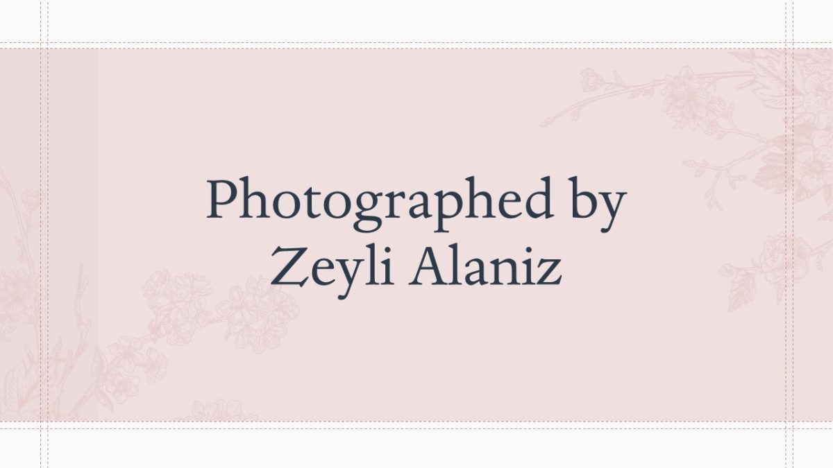 Photography+By+Zeyli+Alaniz