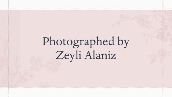 Photography By Zeyli Alaniz