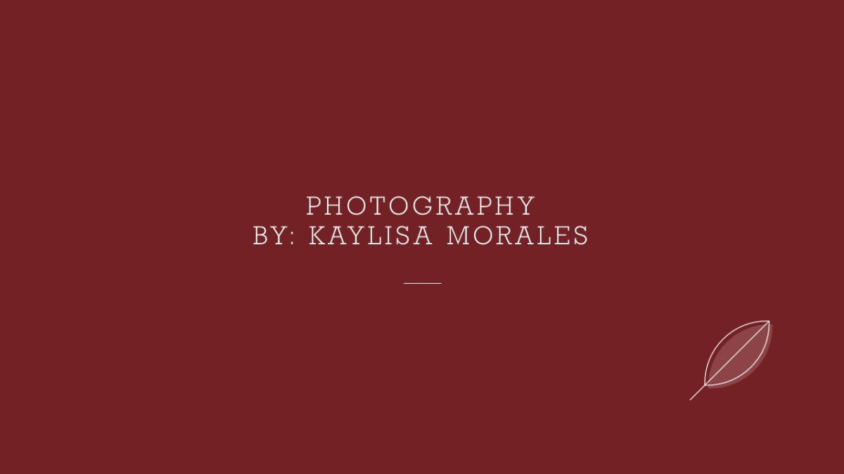 Photography By Kaylisa Morales