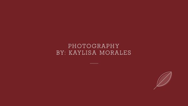 Photography By Kaylisa Morales