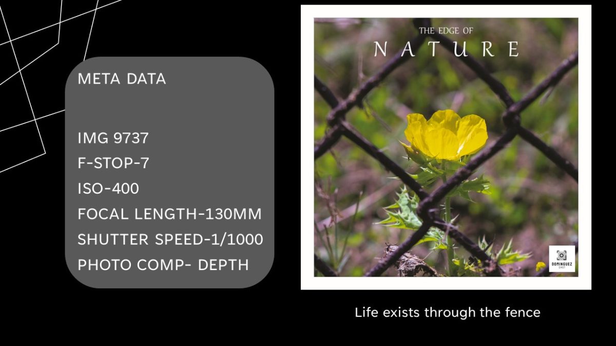 Slide10