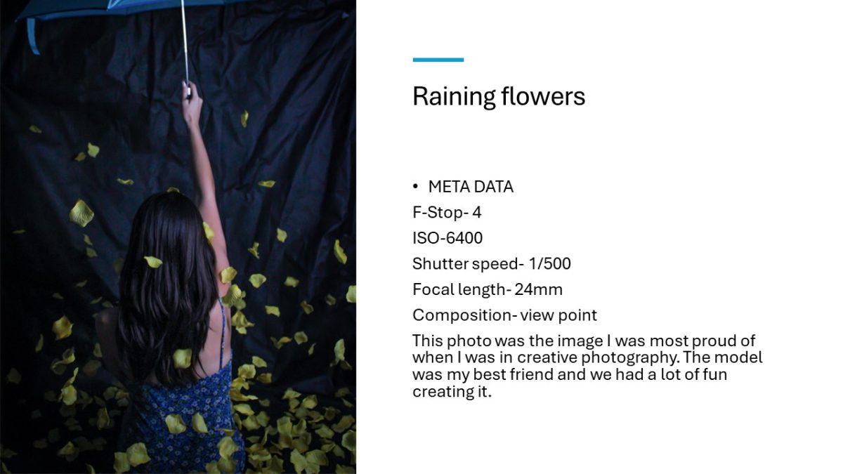 Slide11