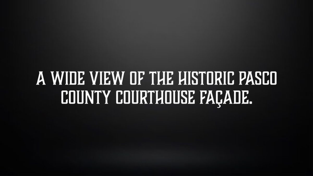 Slide11