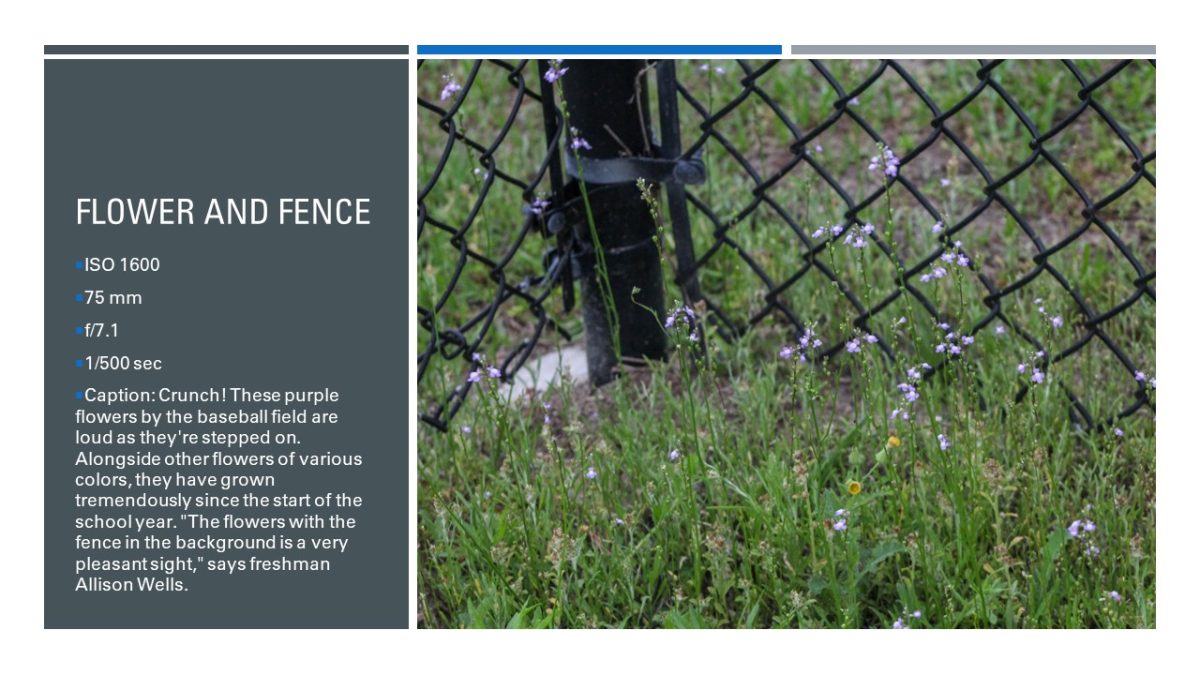 Slide11