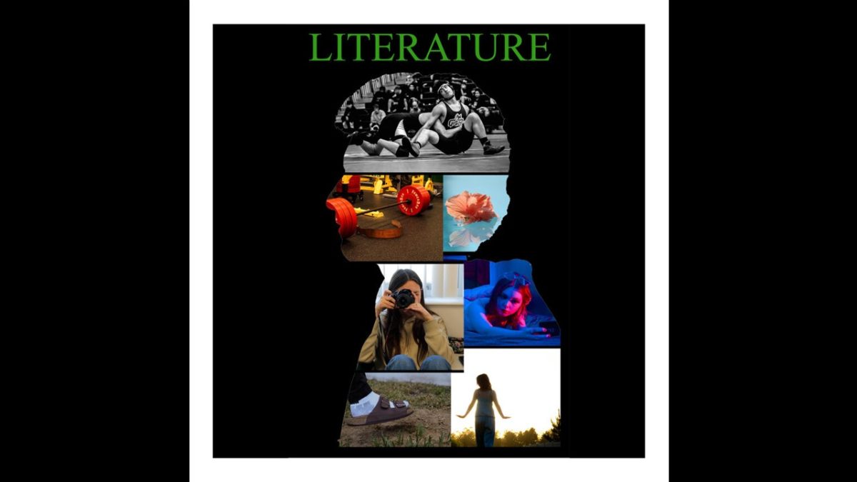 Slide11