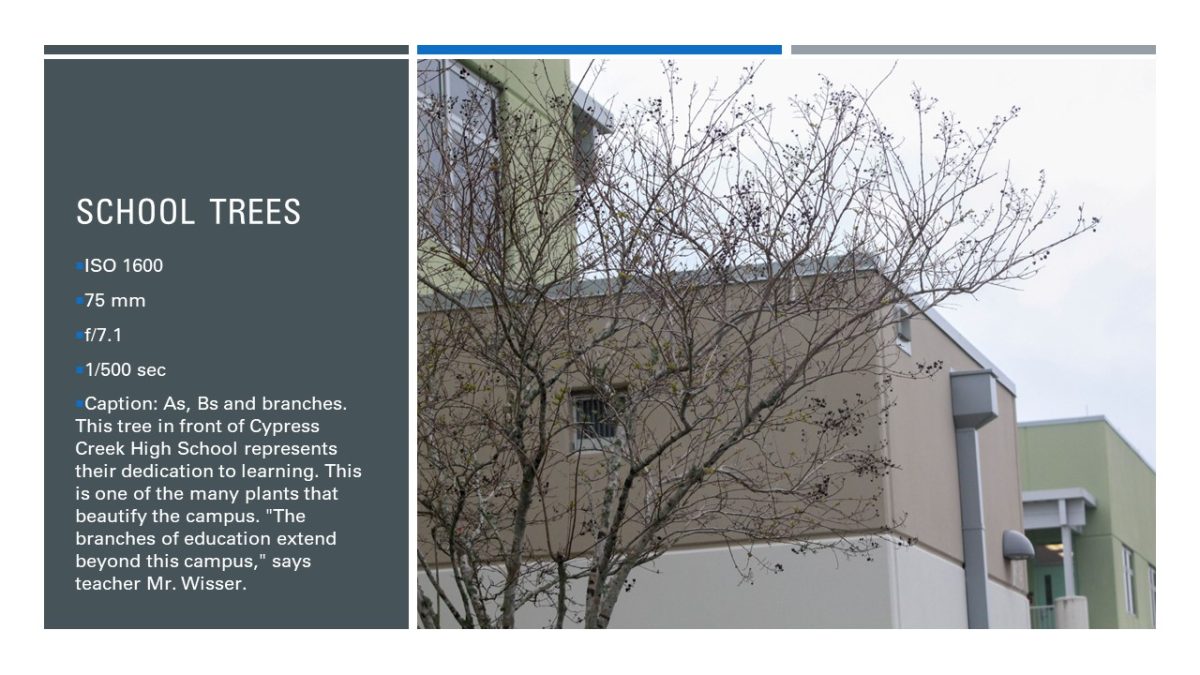 Slide13