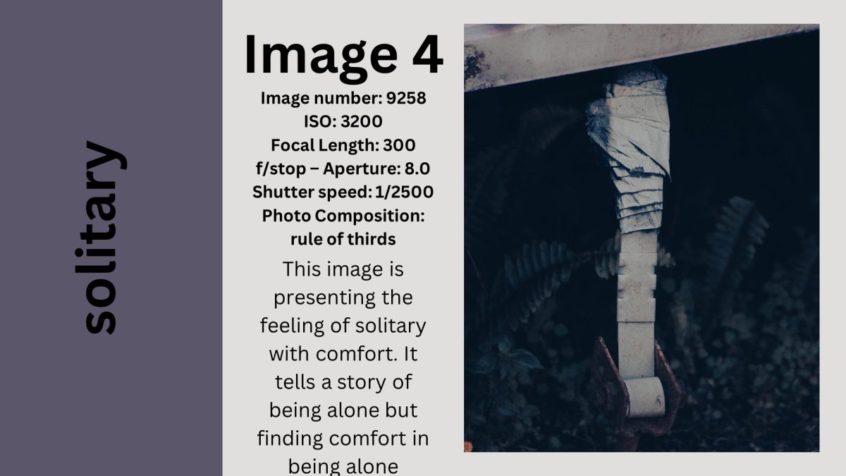 Slide13