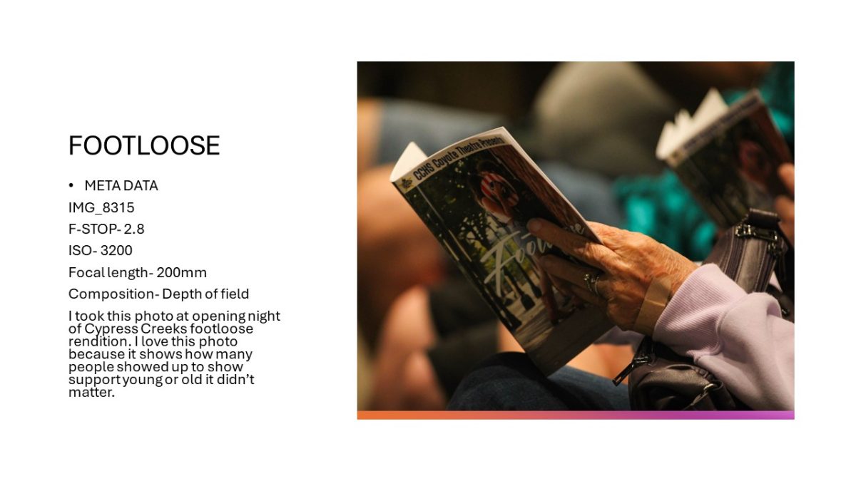 Slide13