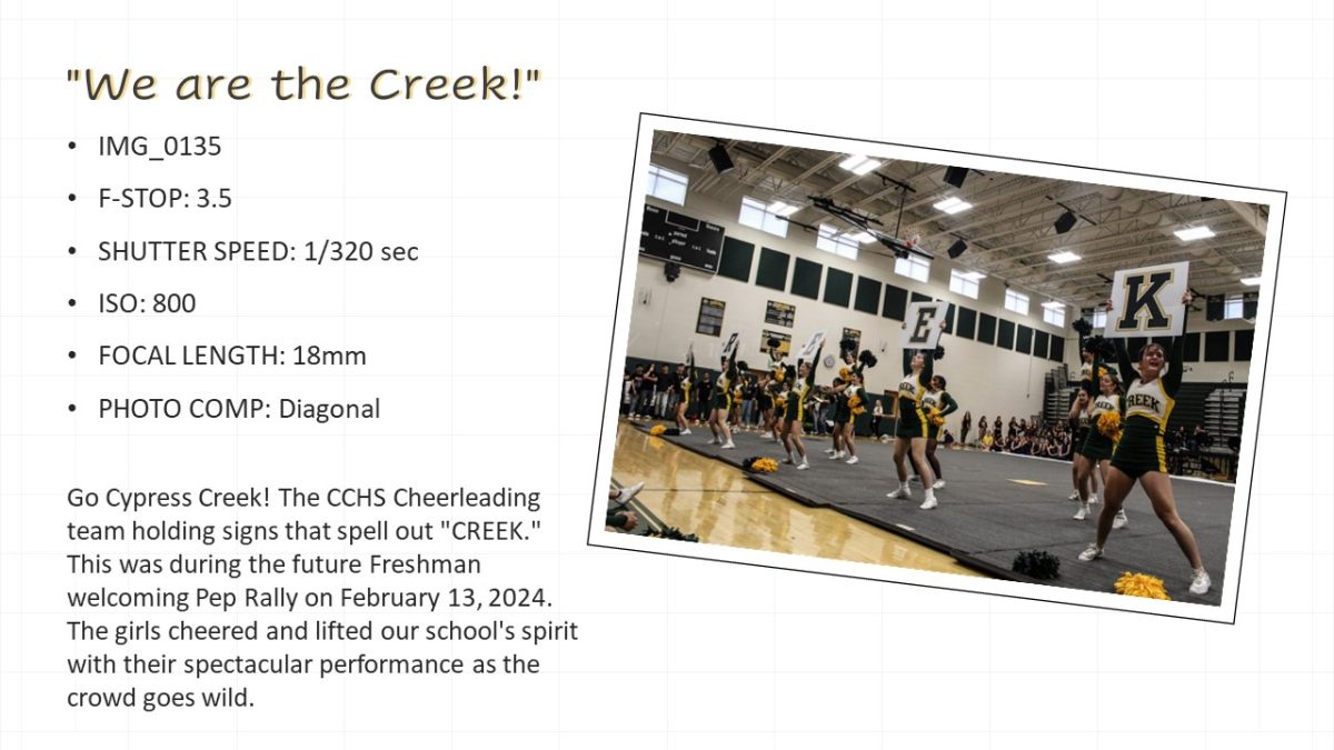 Slide13