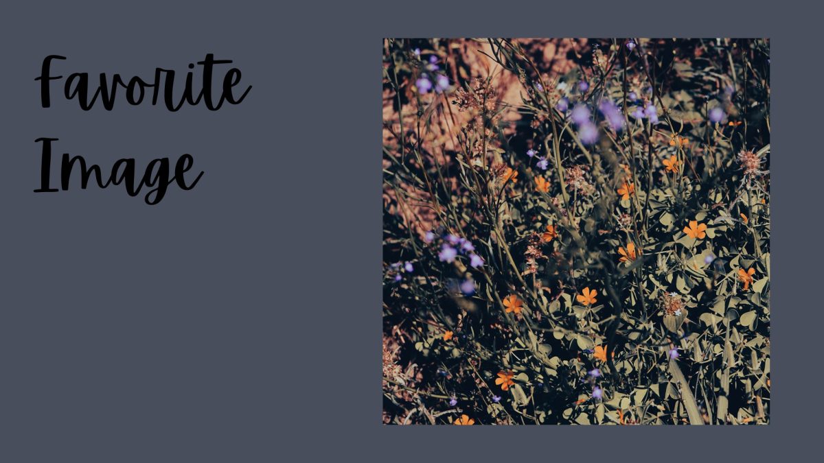 Slide15