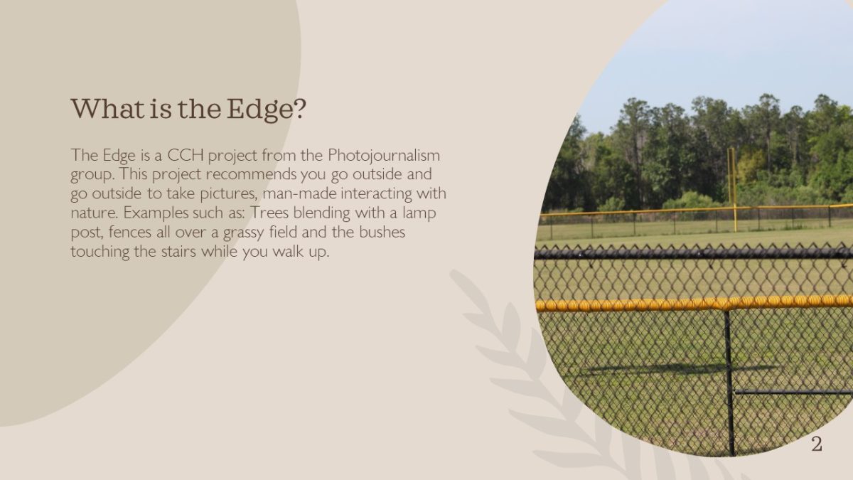 Slide2