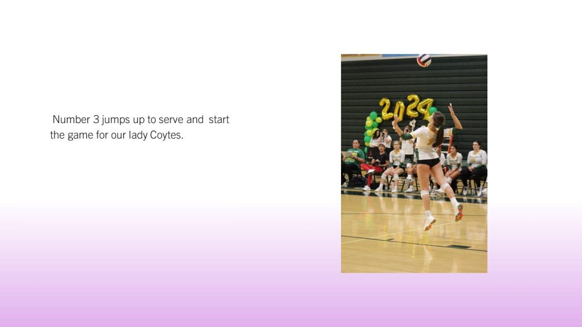 Slide2