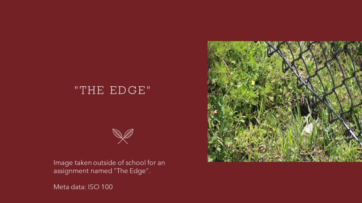 Slide2