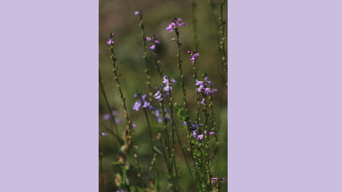 Slide3 (1)
