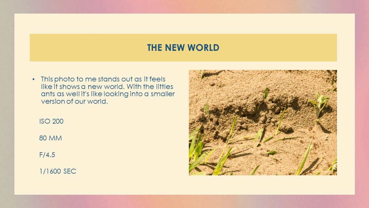 Slide3 (1)