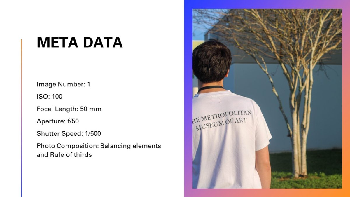 Slide3