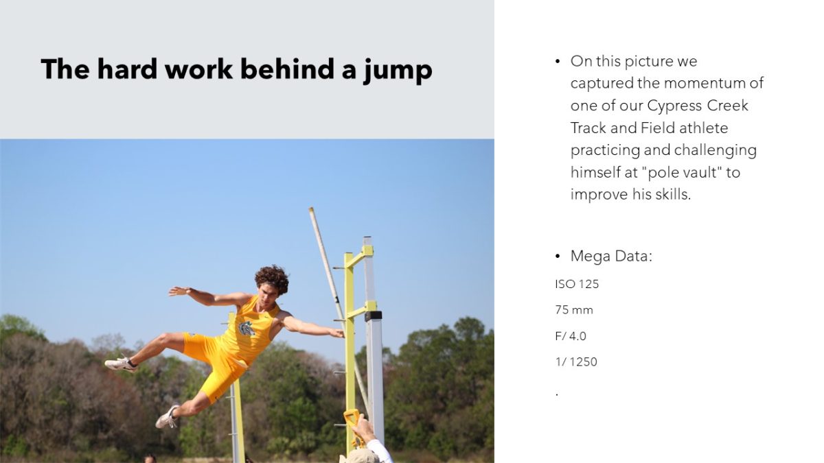 Slide4
