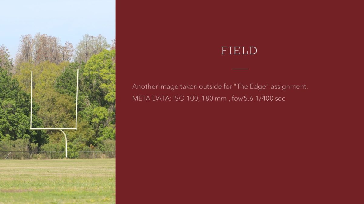 Slide4