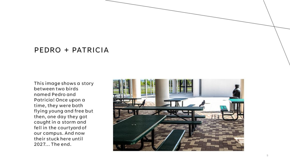 Slide5 (1)