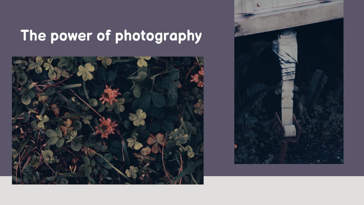 Slide5 (1)