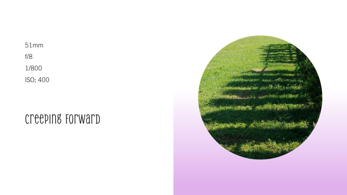 Slide5