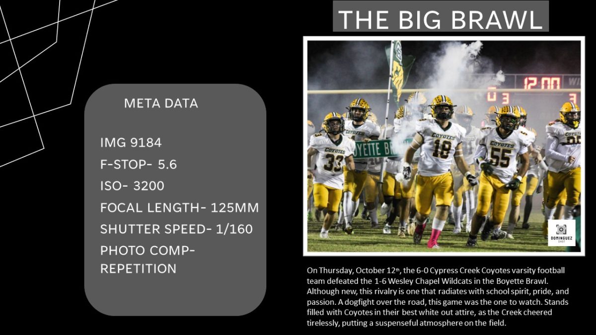 Slide6 (1)