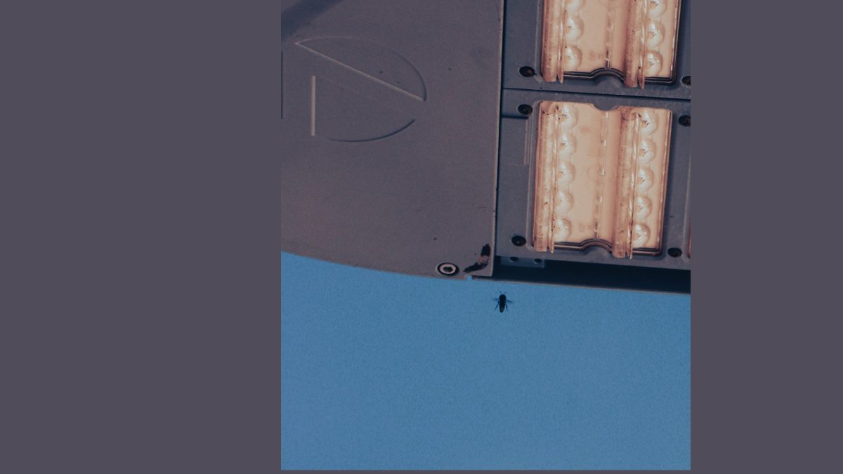 Slide6 (1)