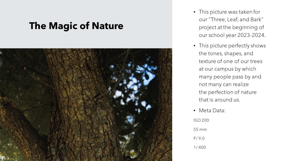 Slide6