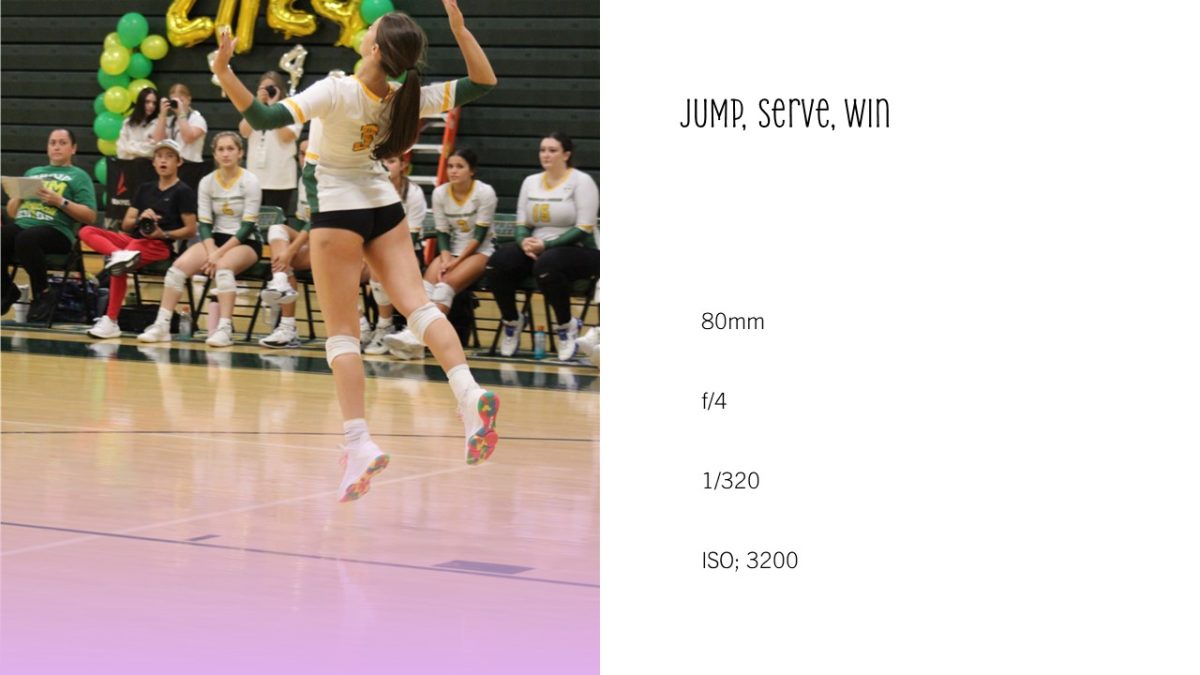 Slide6