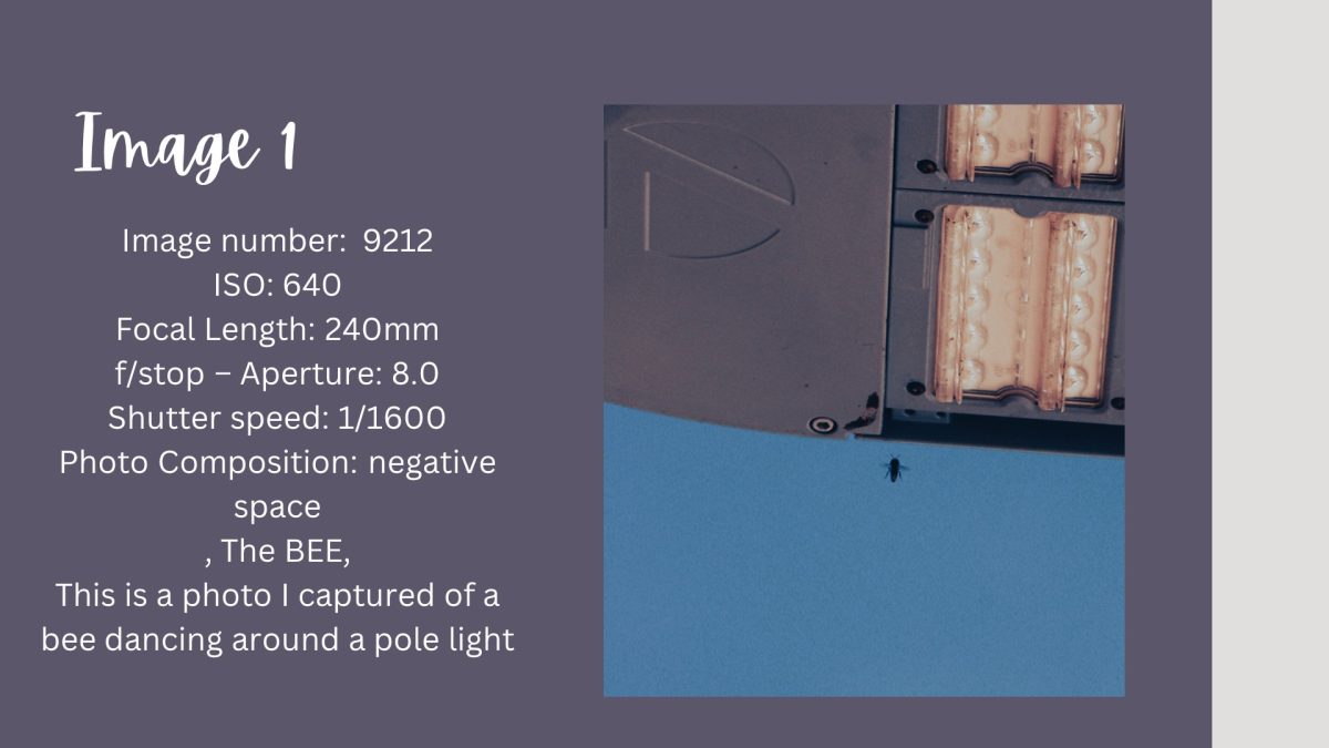 Slide7 (1)