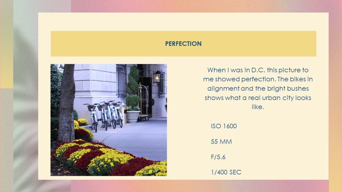 Slide7 (1)