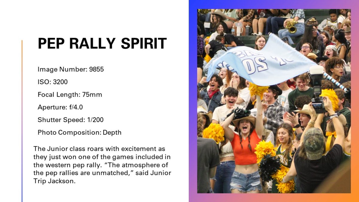 Slide7