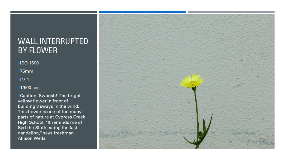 Slide7