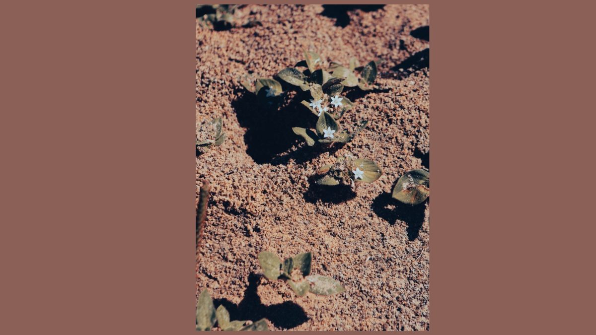 Slide8