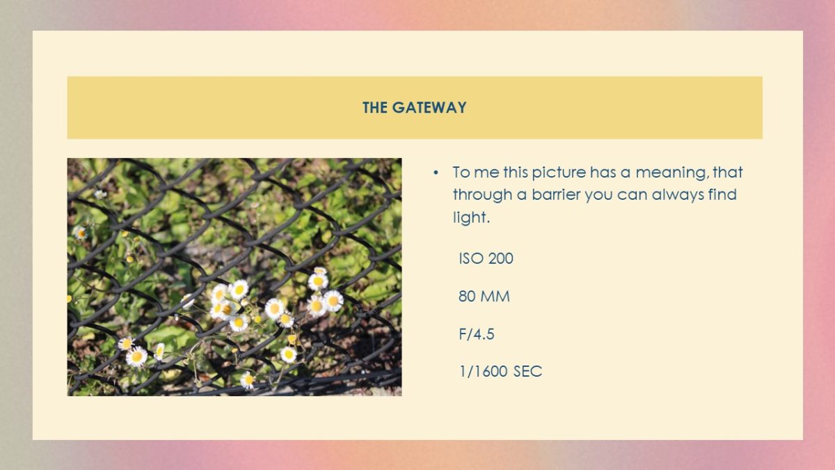 Slide9 (1)