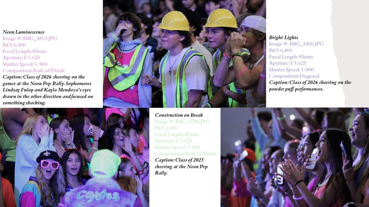 Slide9