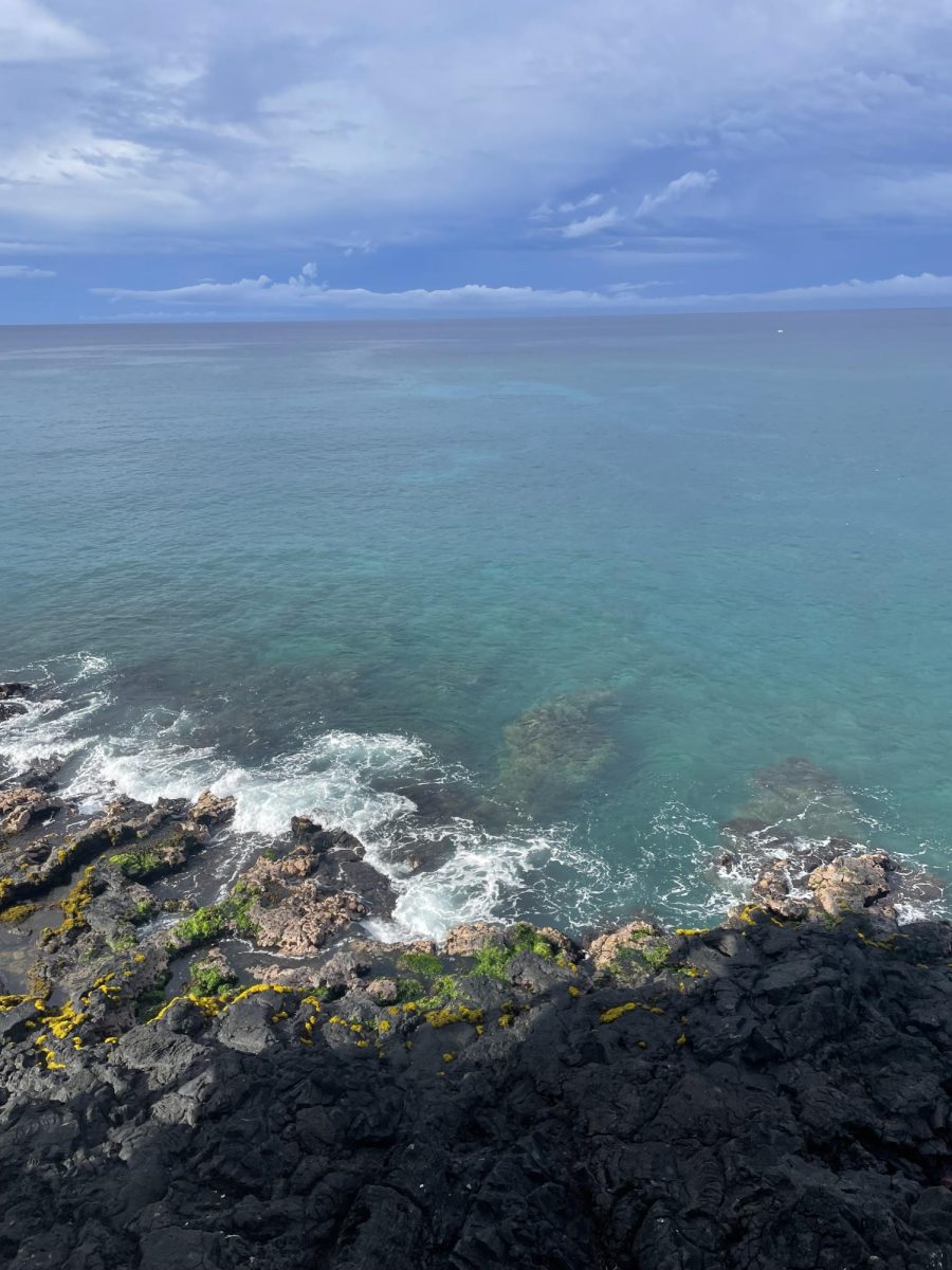 A stunning view. The ocean spanned out below them. The family was thankful for the perfect view from above. Lori said, “I was so happy with the view because we got to see sea turtles every day. It 
was a nice experience.” 