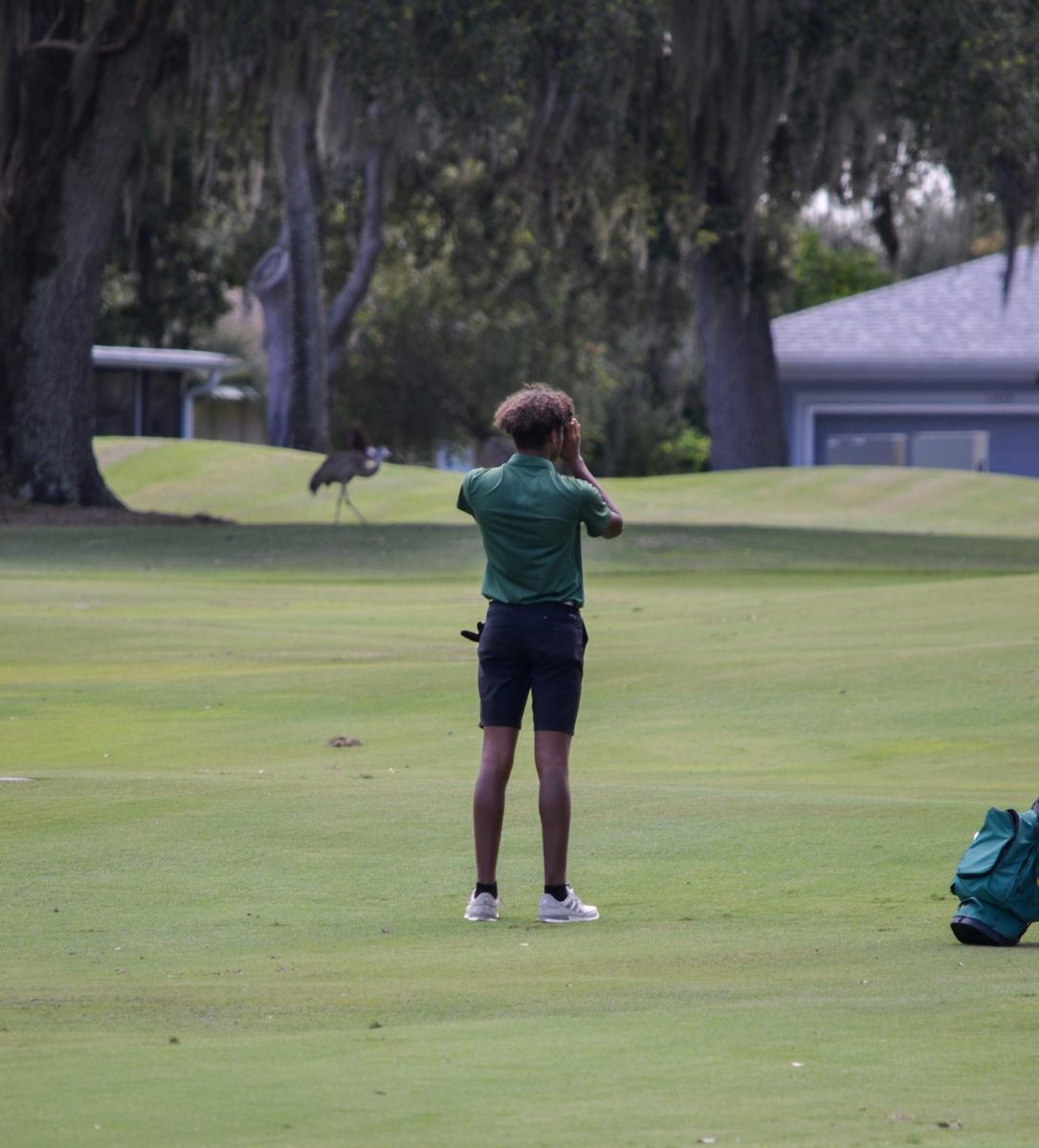 During the regular season one of the team leaders, senior Maximus Knight, prepares to take his shot to get on the green at Tampa Bay Golf and Country Club in October 2025.